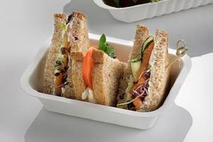 Schale aus Zellstoff