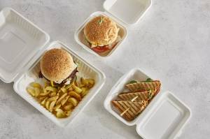 Cellulose pulp hamburger box
