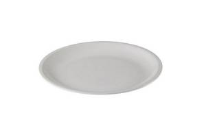 Basic dinner plate